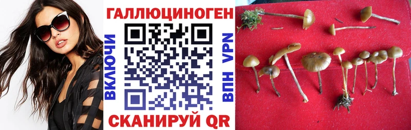 где найти   Шахты  нарко площадка как зайти  Псилоцибиновые грибы мицелий 
